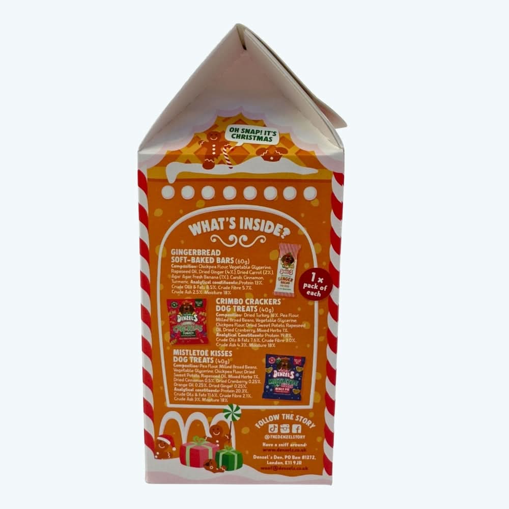 Festive Gingerbread House Gift Box of Dog Treats