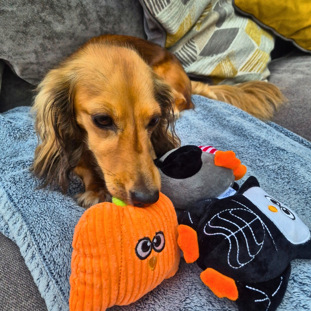 Happy Halloween Dog Toy Trio