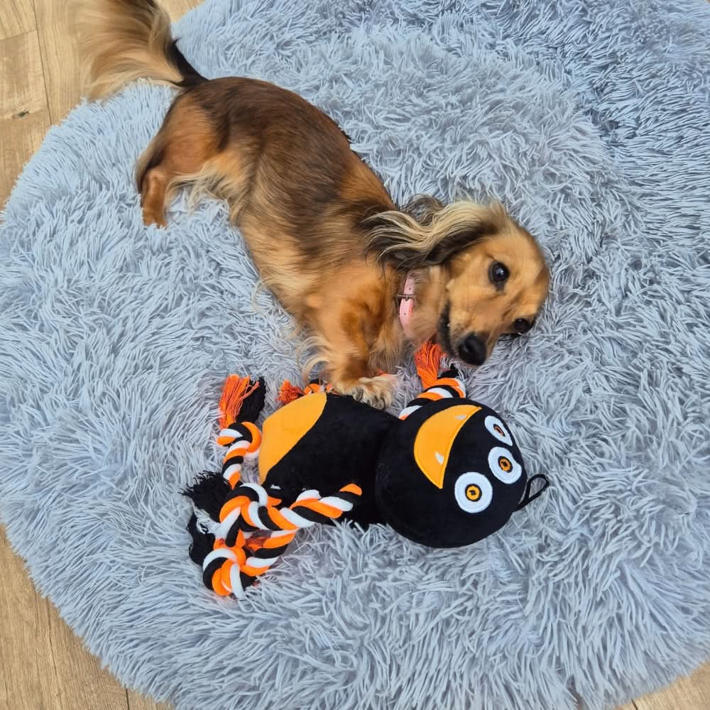 Happy Halloween Plush Spider Rope Dog Toy