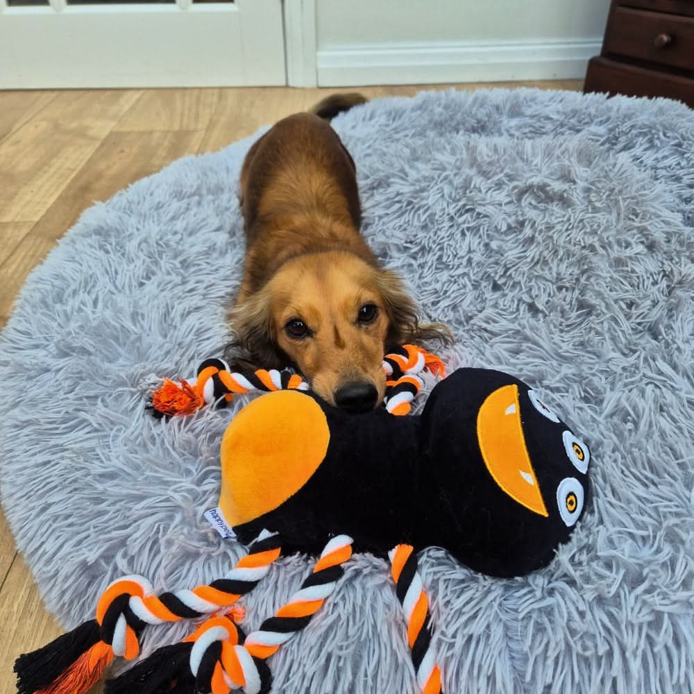 Happy Halloween Plush Spider Rope Dog Toy