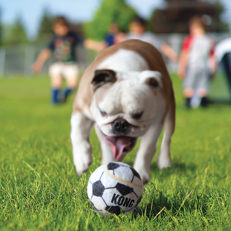 KONG Air Sport Balls