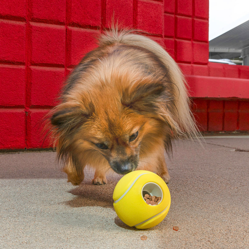 KONG Rewards Tennis Ball