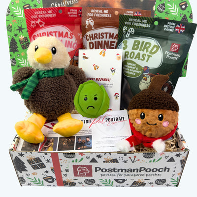 Festive Food Christmas Dog Gift Box