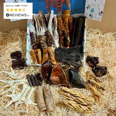 Natural Dog Treat Box - Ultimate Chomper