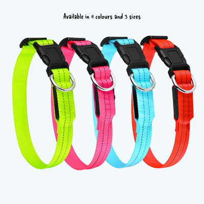 Night Safety Flashing Dog Collar
