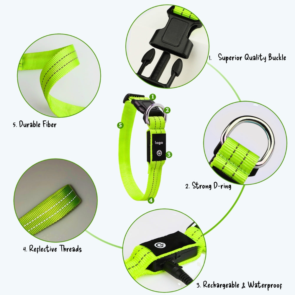Night Safety Flashing Dog Collar
