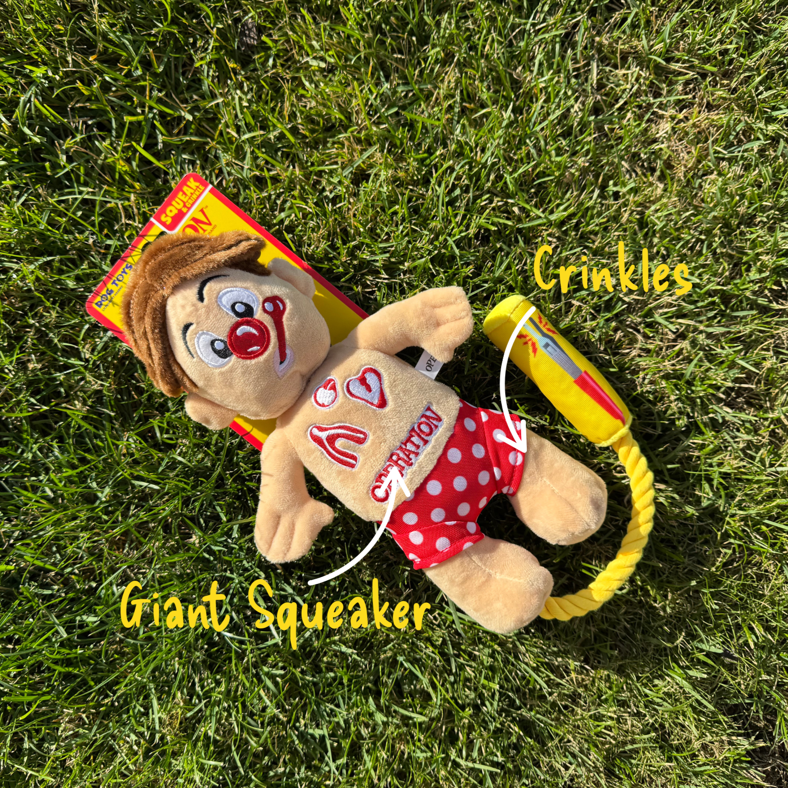 Operation Cavity Sam Squeak & Crunch Dog Toy