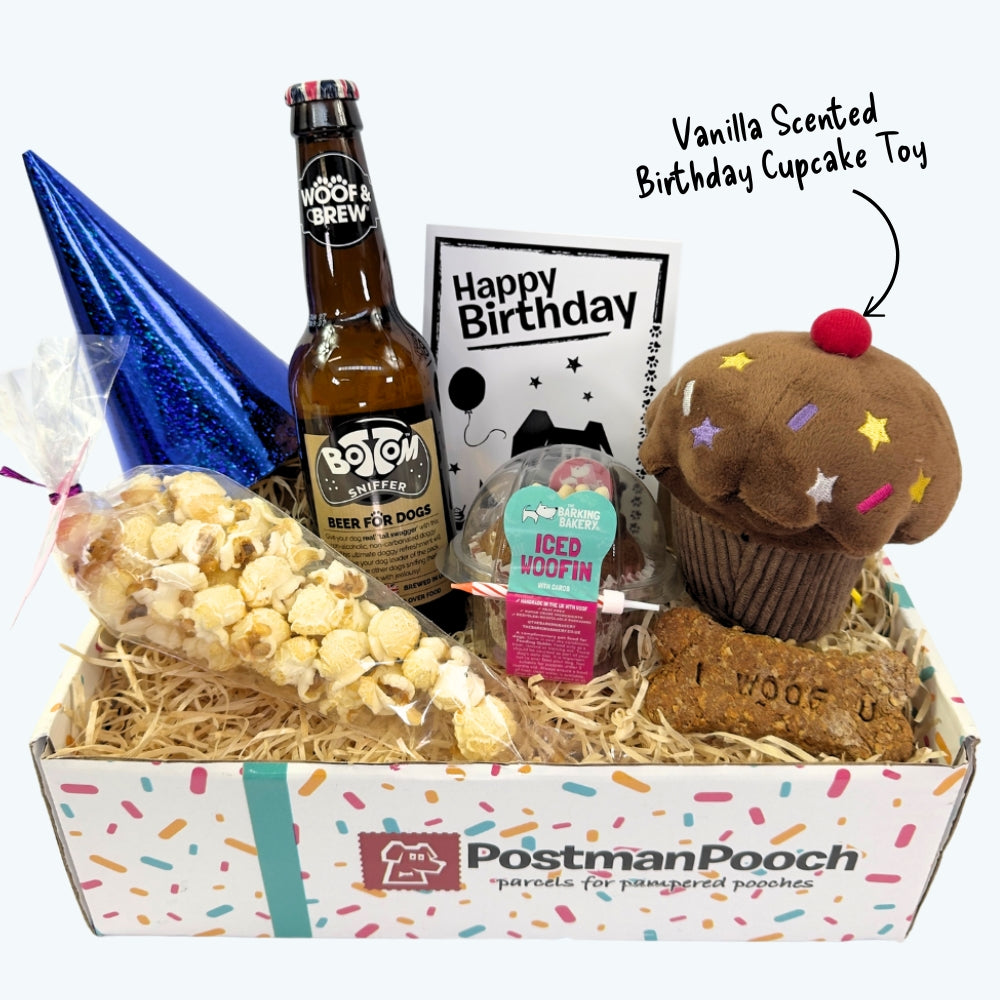 The Classic Boys Dog Birthday Box