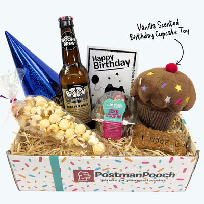 The Classic Boys Dog Birthday Box