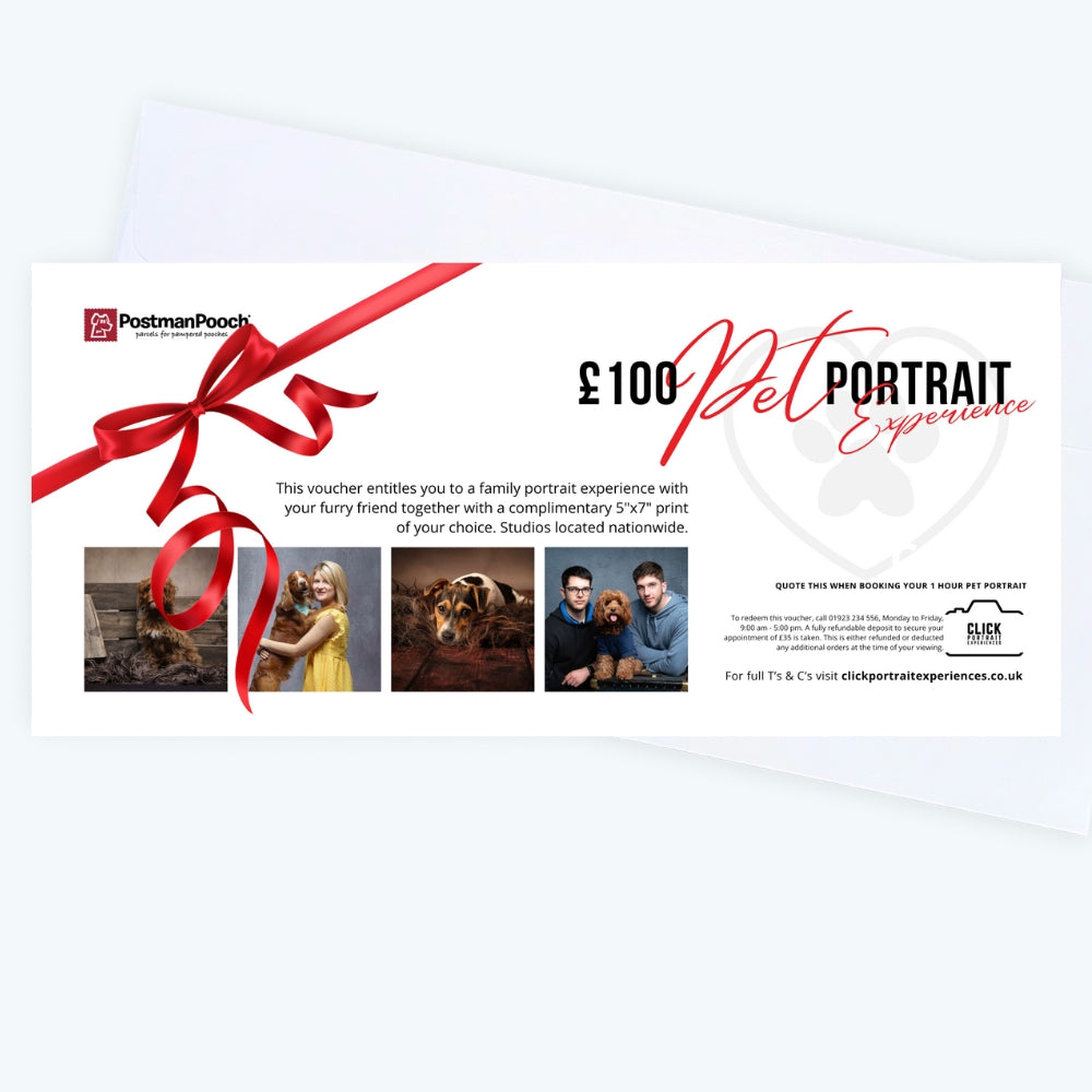 Pet Portrait Voucher