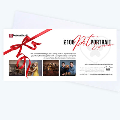 Pet Portrait Voucher