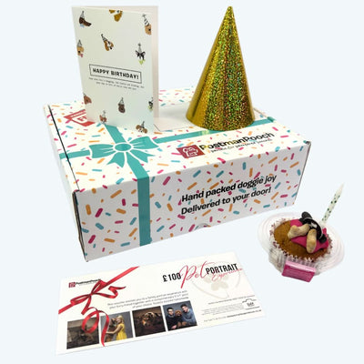 Build a Dog Birthday Box