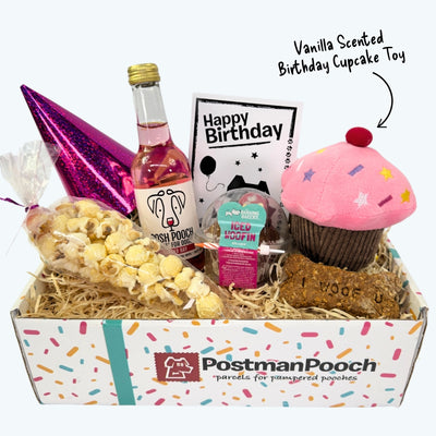 The Classic Girls Dog Birthday Box