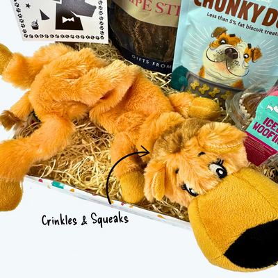 Soft Toy Dog Birthday Box
