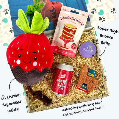 Valentine's Dog Gift Box