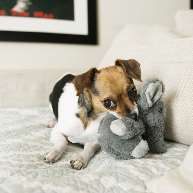 KONG Comfort Kiddo Elephant