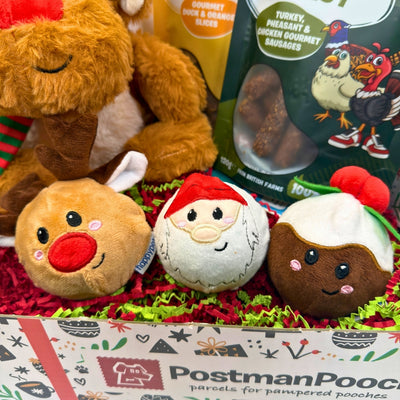 Rudolphs Top Toys Dog Christmas Gift Box