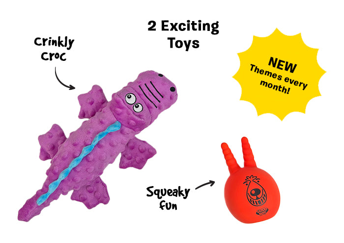 2 Exciting Toys