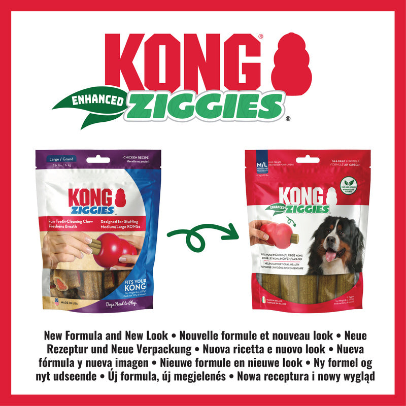 KONG Ziggies