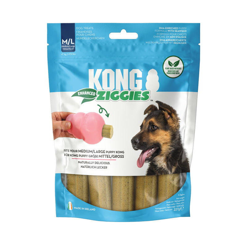 KONG Ziggies