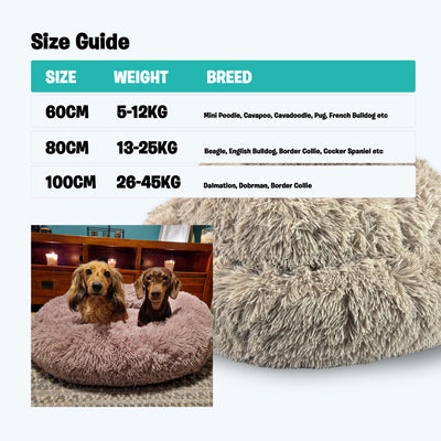 Calming / Anti Anxiety Dog Bed