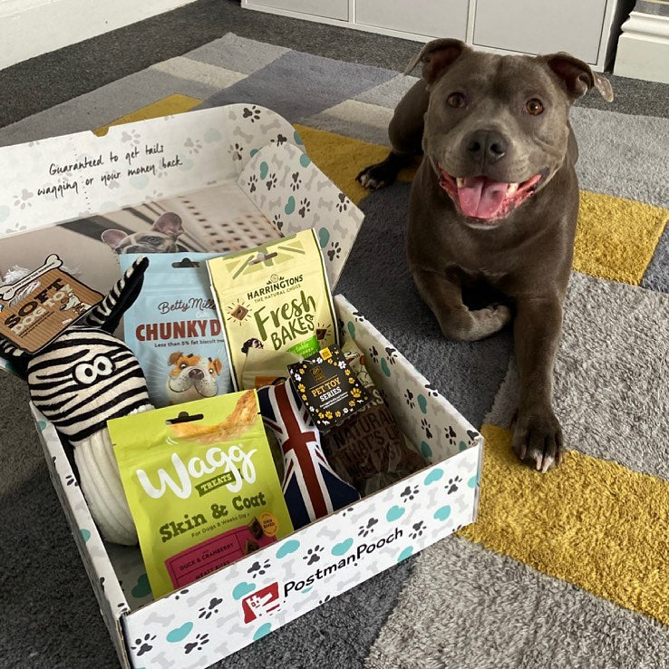 Dog Subscription Boxes