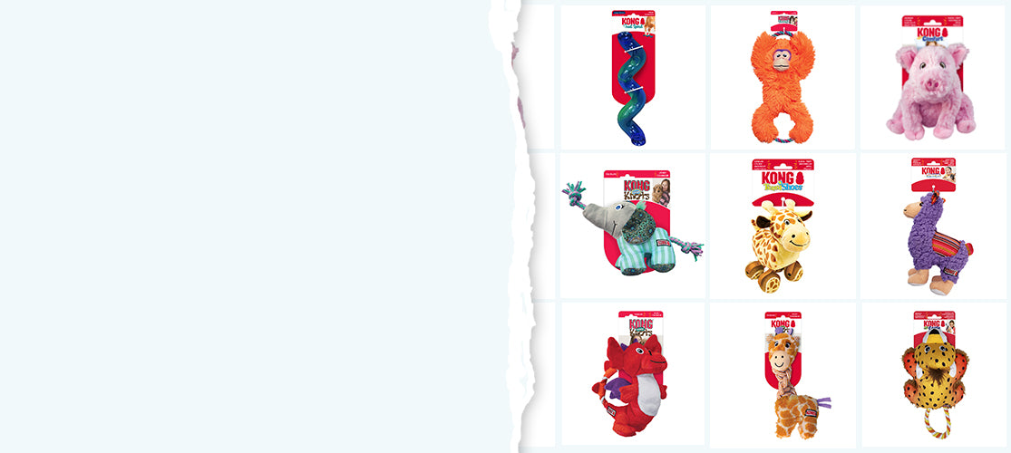 KONG Dog Toys