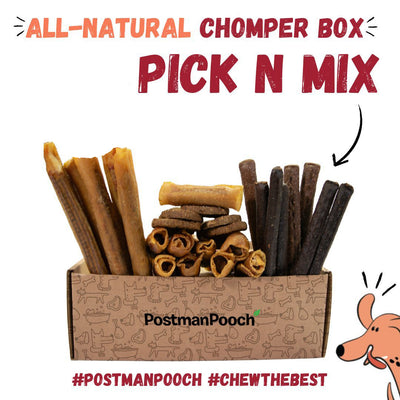 'Pick n Mix' Natural Dog Treat Box
