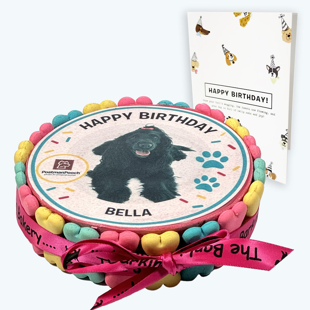 Dog Birthday Cake