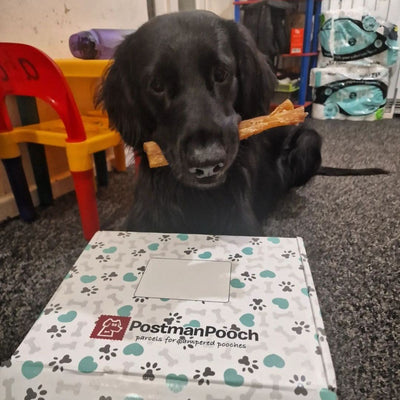 Natural Dog Treat Box - Ultimate Chomper