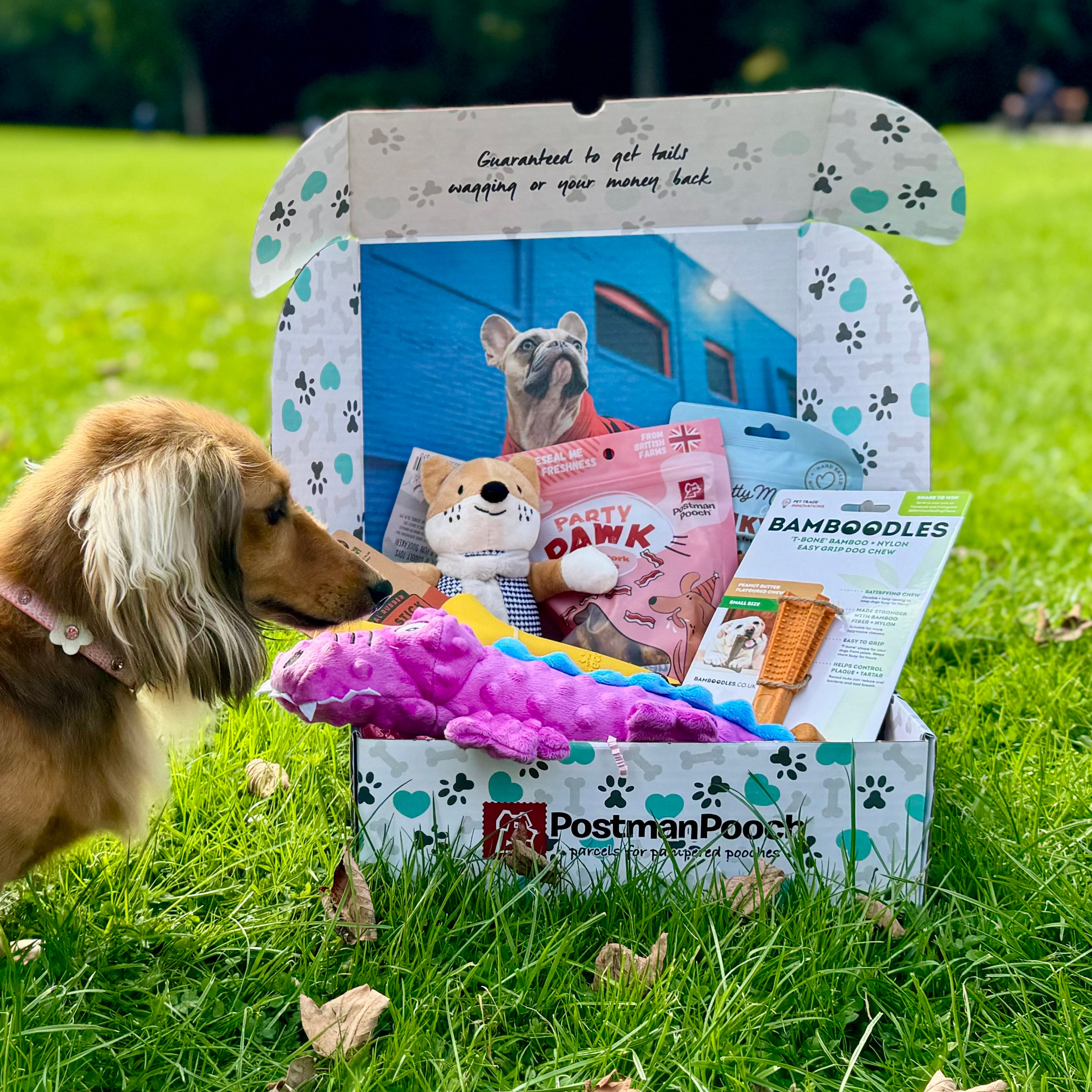 Dog Subscription Boxes