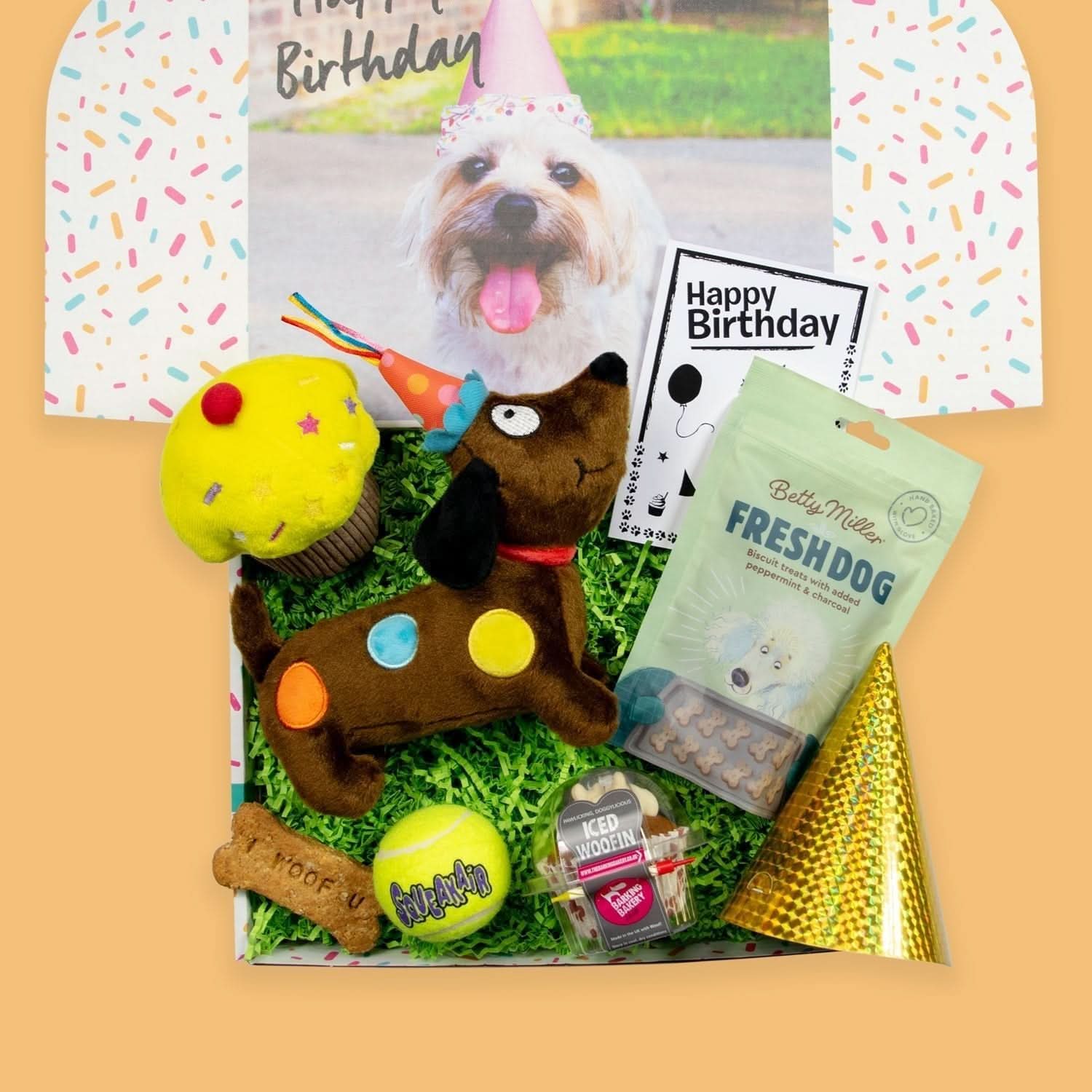 Luxury Dog Birthday Box - Main Image