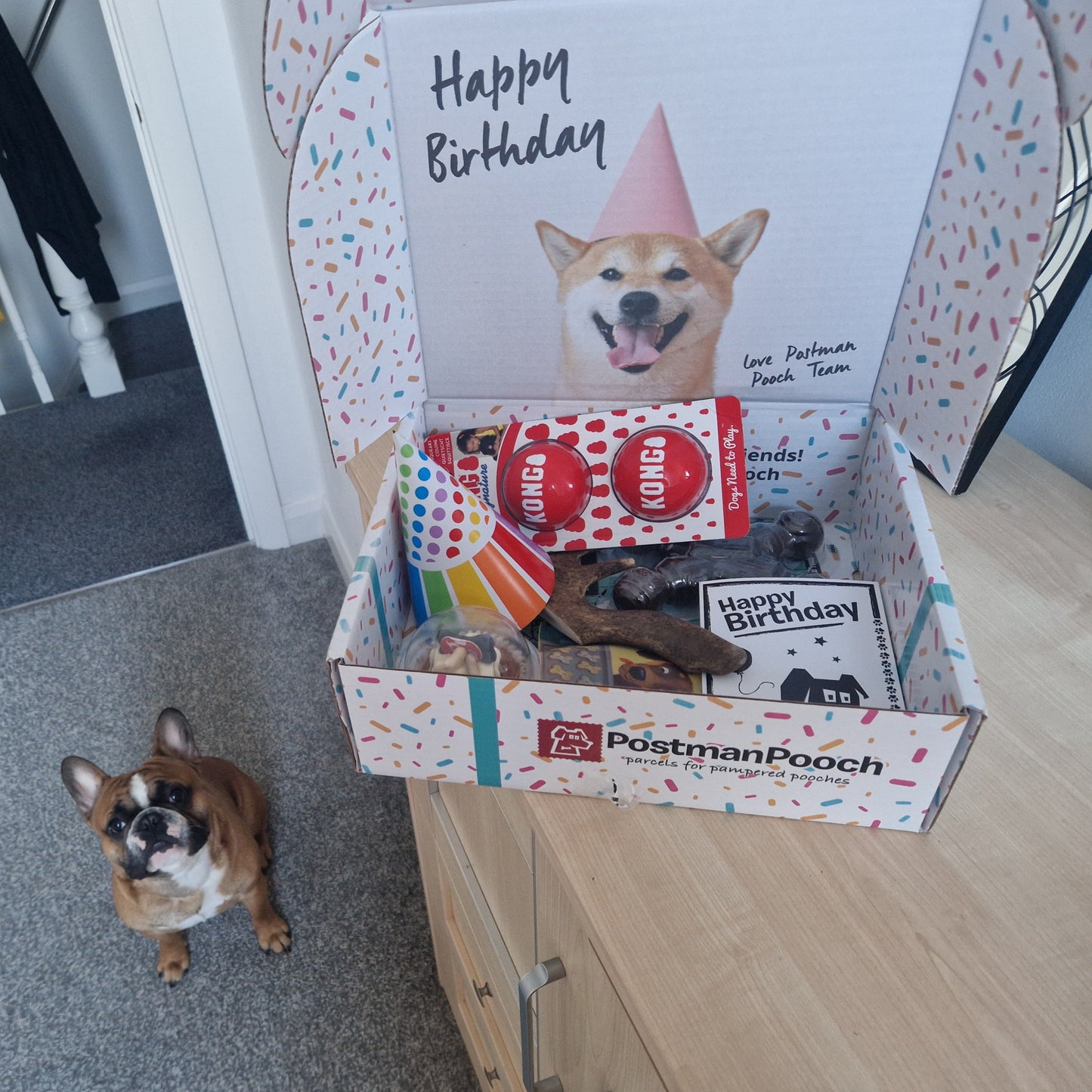 Tuff Dog Toy Birthday Box