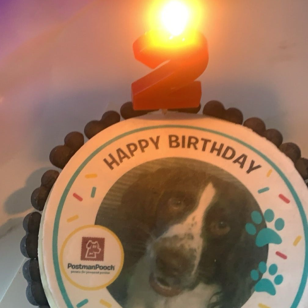 Personalised Dog Picture Birthday Cake & Card