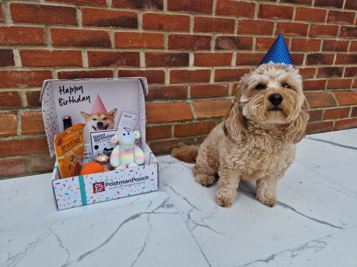 Build a Dog Birthday Box
