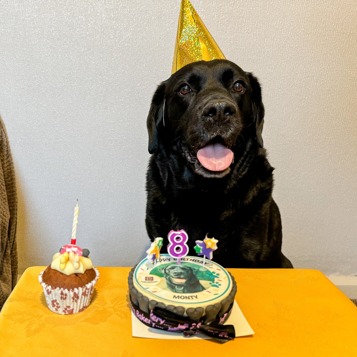 Personalised Dog Picture Birthday Cake & Card