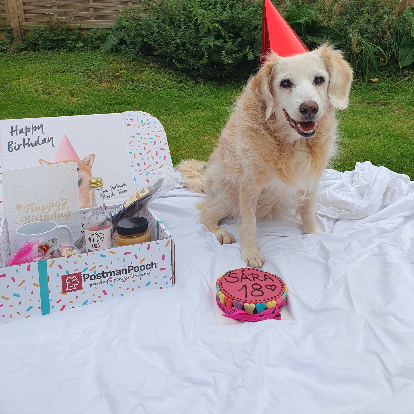 Build a Dog Birthday Box