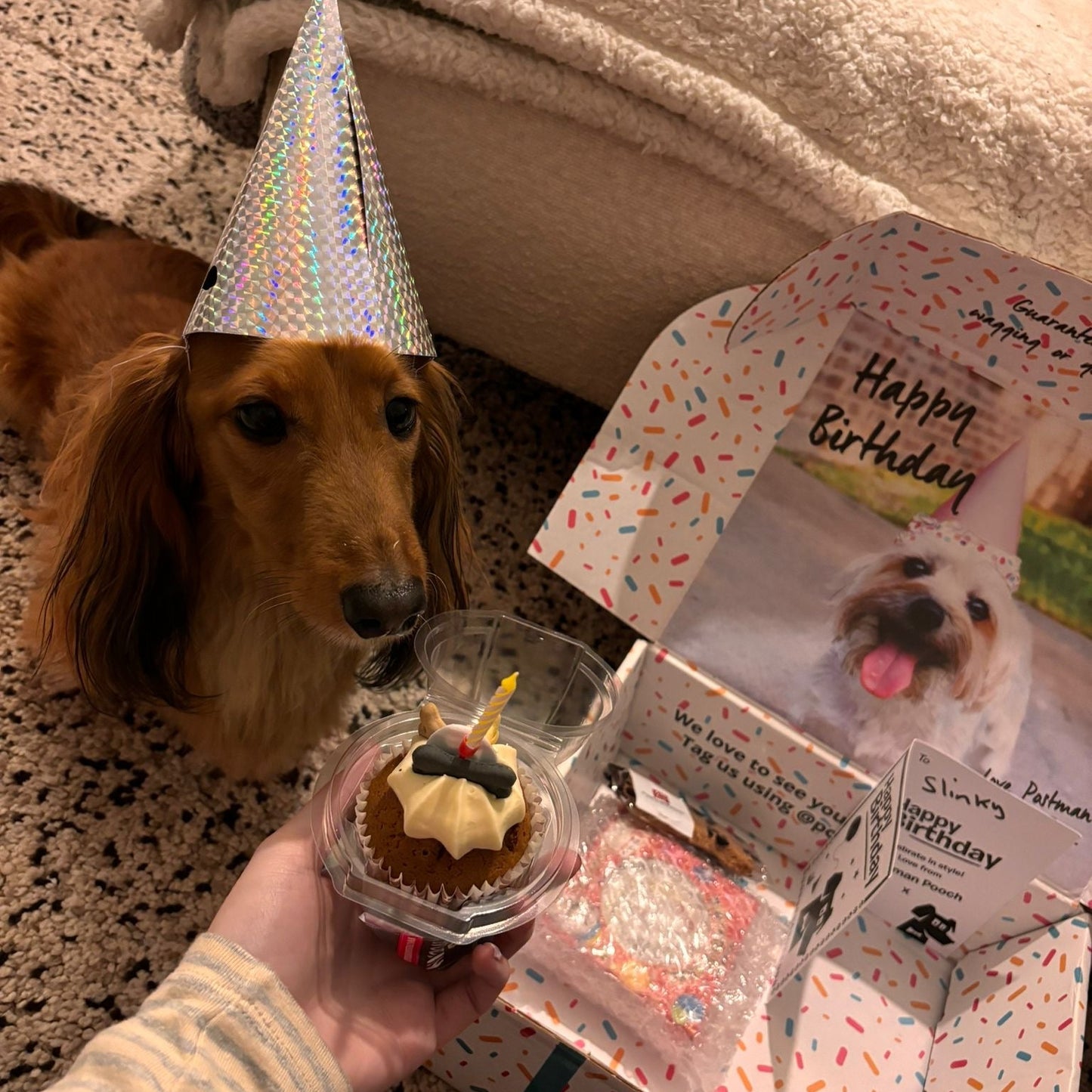 Build a Dog Birthday Box