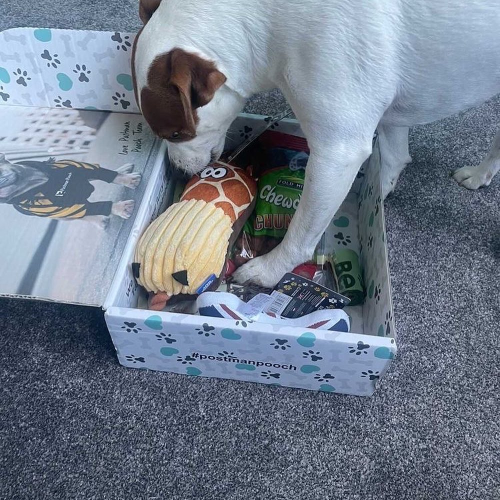 Dog Subscription Box Uk