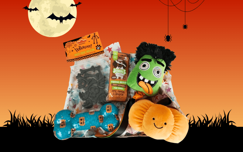 Unleash the Fun: Halloween Dog Toys from Postman Pooch