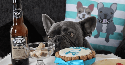 Dog Birthday Presents – The best dog gifts for 2020