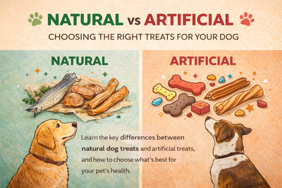 Natural vs Artificial Dog Treats: What’s Better?