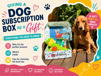 Giving a Dog Subscription Box as a Gift