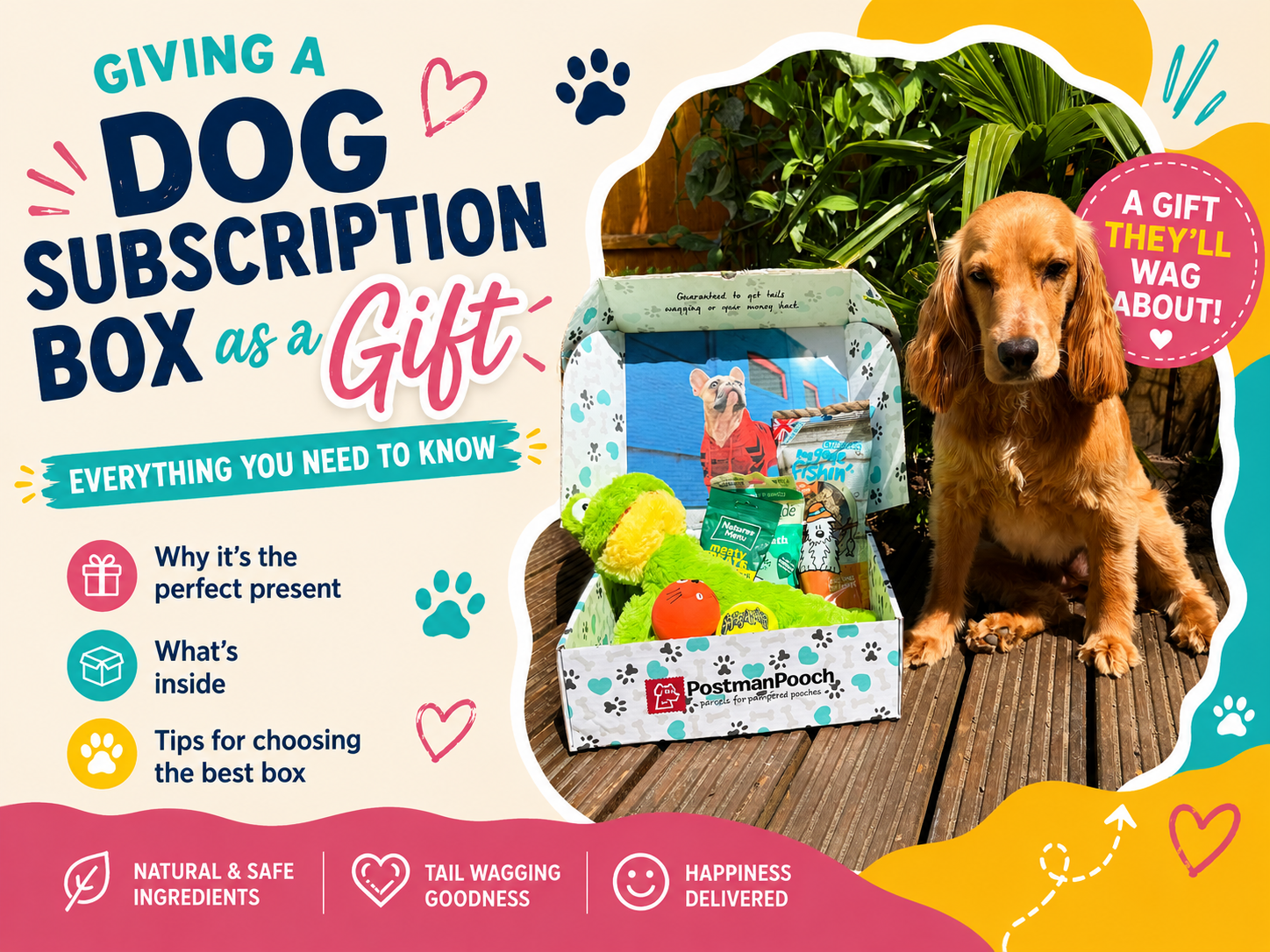 Giving a Dog Subscription Box as a Gift