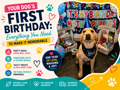 Your Dog's First Birthday: Everything You Need to Make It Memorable