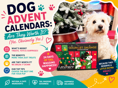 Dog Advent Calendars: Are They Worth It? (Yes. Obviously Yes.)
