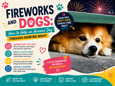 Fireworks and Dogs: How to Help an Anxious Dog Through Bonfire Night