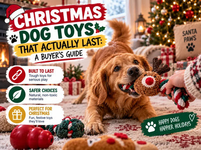 Christmas Dog Toys That Actually Last: A Buyer's Guide