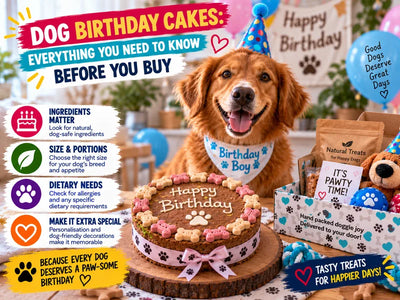 Dog Birthday Cakes: Everything You Need to Know Before You Buy