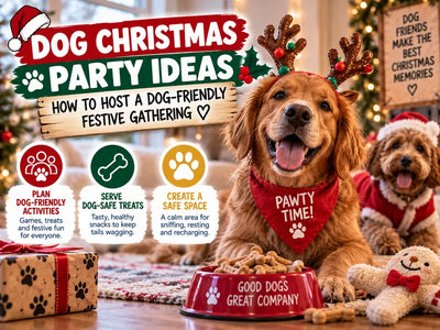 Dog Christmas Party Ideas: How to Host a Dog-Friendly Festive Gathering